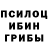 Псилоцибиновые грибы Cubensis Iuliia Olkhovskaia