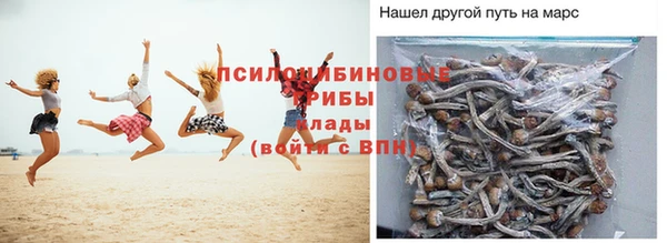 дмт Алзамай