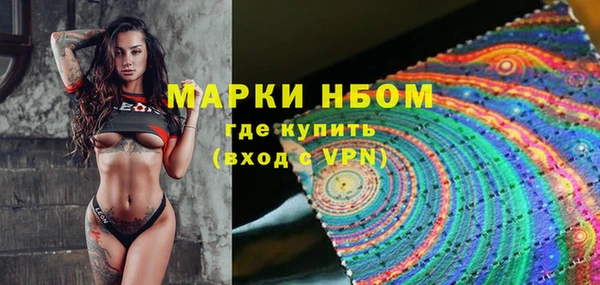 дмт Алзамай