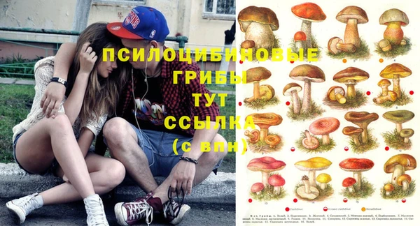 эйфоретик Алексин