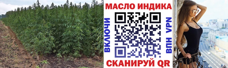 Купить Алагир Дистиллят ТГК жижа