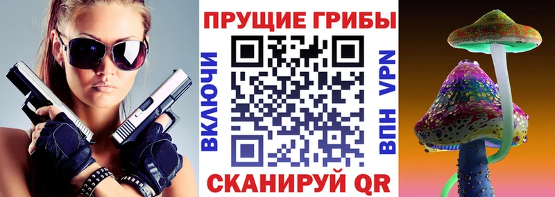 Галлюциногенные грибы мицелий Купить закладки Алагир
