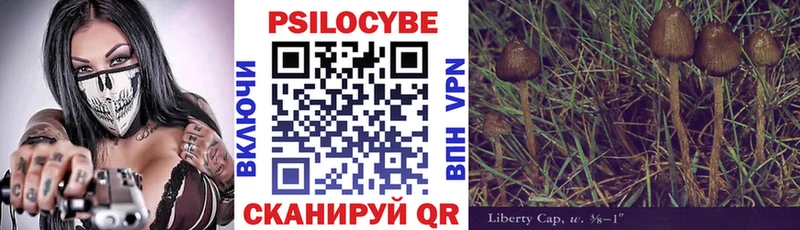 Псилоцибиновые грибы Psilocybe Алагир
